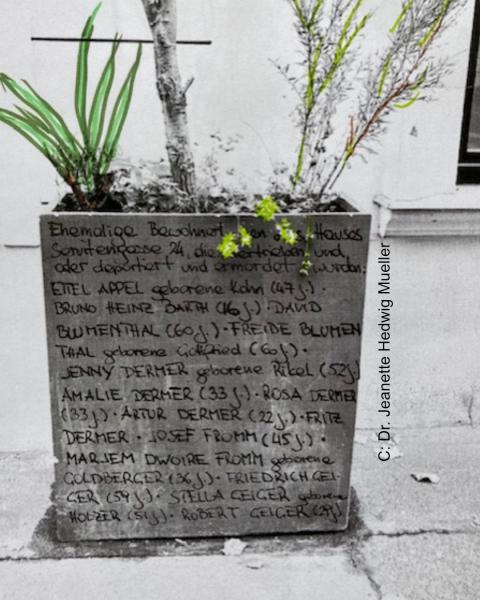 Dr. Jeanette Hedwig Mueller